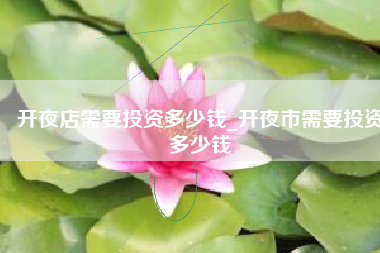 开夜店需要投资多少钱_开夜市需要投资多少钱