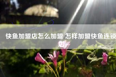 快鱼加盟店怎么加盟 怎样加盟快鱼连锁店