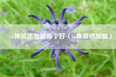 vr体验店加盟哪个好（vr体验店加盟）