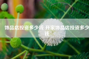 饰品店投资多少钱 开家饰品店投资多少钱