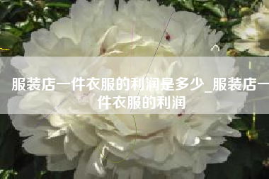 服装店一件衣服的利润是多少_服装店一件衣服的利润
