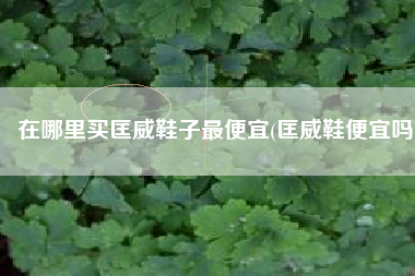 在哪里买匡威鞋子最便宜(匡威鞋便宜吗)