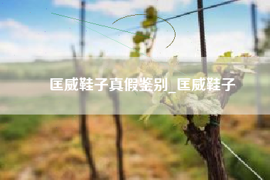 匡威鞋子真假鉴别_匡威鞋子