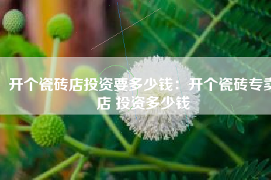 开个瓷砖店投资要多少钱：开个瓷砖专卖店 投资多少钱