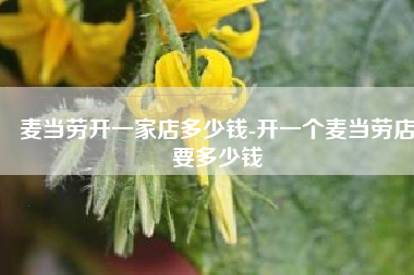 麦当劳开一家店多少钱-开一个麦当劳店要多少钱