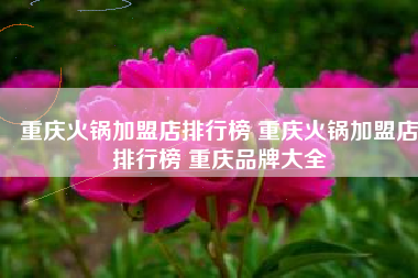 重庆火锅加盟店排行榜 重庆火锅加盟店排行榜 重庆品牌大全