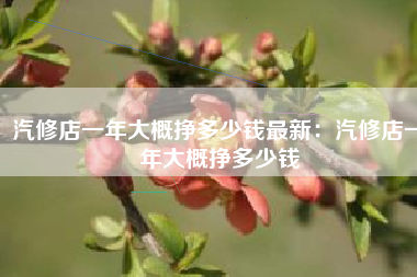 汽修店一年大概挣多少钱最新:汽修店一年大概挣多少钱