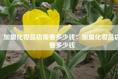 加盟化妆品店需要多少钱：加盟化妆品店要多少钱