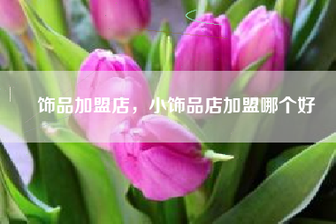 饰品加盟店,小饰品店加盟哪个好