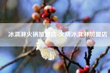 冰淇淋火锅加盟店-火烧冰淇淋加盟店