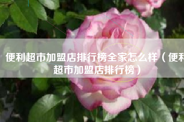 便利超市加盟店排行榜全家怎么样(便利超市加盟店排行榜)