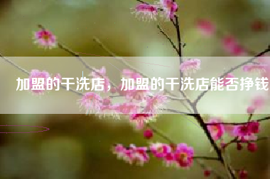 加盟的干洗店，加盟的干洗店能否挣钱