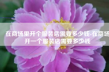在商场里开个服装店需要多少钱-在商场开一个服装店需要多少钱