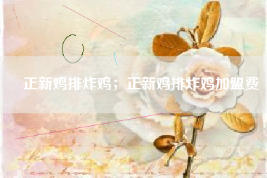 正新鸡排炸鸡；正新鸡排炸鸡加盟费