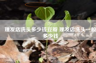 理发店洗头多少钱豆瓣 理发店洗头一般多少钱