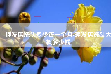 理发店洗头多少钱一个月-理发店洗头大概多少钱