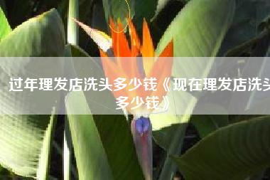 过年理发店洗头多少钱《现在理发店洗头多少钱》