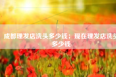 成都理发店洗头多少钱；现在理发店洗头多少钱