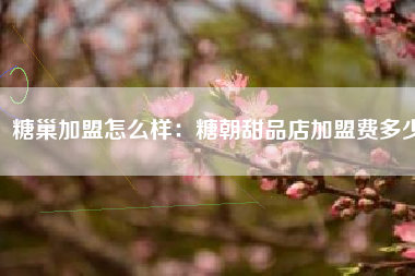 糖巢加盟怎么样：糖朝甜品店加盟费多少