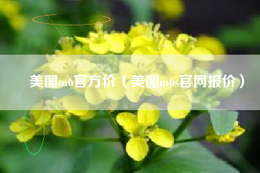 美图m6官方价（美图m6s官网报价）
