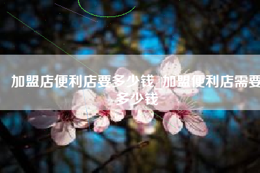 加盟店便利店要多少钱_加盟便利店需要多少钱