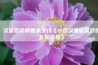 汉堡店装修要多少钱《小型汉堡店装修图片和价格》