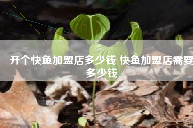 开个快鱼加盟店多少钱 快鱼加盟店需要多少钱