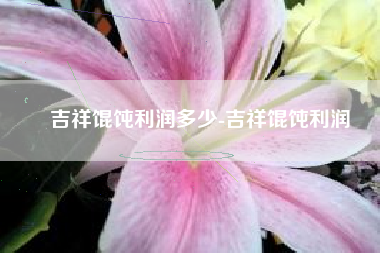 吉祥馄饨利润多少-吉祥馄饨利润