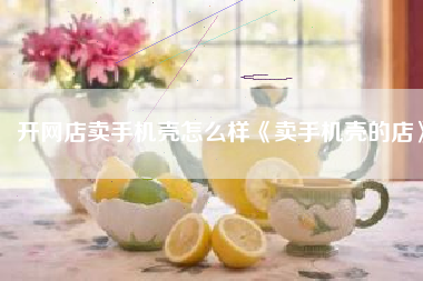 开网店卖手机壳怎么样《卖手机壳的店》