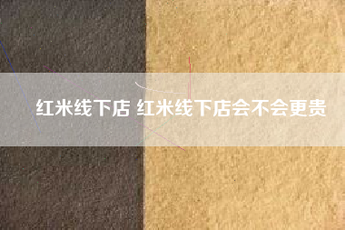 红米线下店 红米线下店会不会更贵