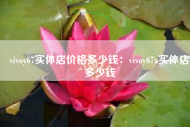 vivoy67实体店价格多少钱：vivoy67a实体店多少钱