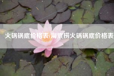 火锅锅底价格表(海底捞火锅锅底价格表)