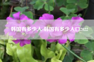 韩国有多少人-韩国有多少人口2022
