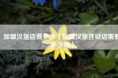 加盟汉堡店费多少（加盟汉堡连锁店需要多少钱）