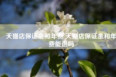 天猫店保证金和年费 天猫店保证金和年费能退吗
