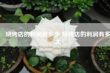 烧烤店的利润是多少 烧烤店的利润有多大