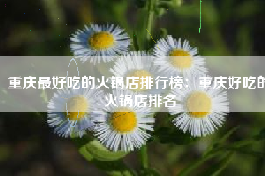 重庆最好吃的火锅店排行榜：重庆好吃的火锅店排名
