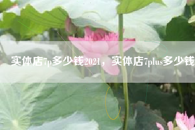 实体店7p多少钱2021，实体店7plus多少钱