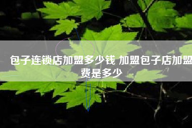 包子连锁店加盟多少钱 加盟包子店加盟费是多少