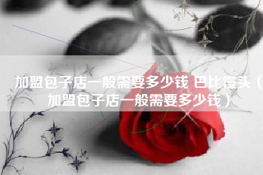 加盟包子店一般需要多少钱 巴比馒头（加盟包子店一般需要多少钱）