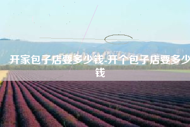 开家包子店要多少钱-开个包子店要多少钱