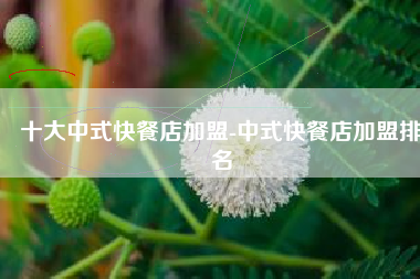 十大中式快餐店加盟-中式快餐店加盟排名