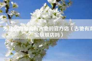 为什么淘宝没有古驰的官方店（古驰有淘宝旗舰店吗）