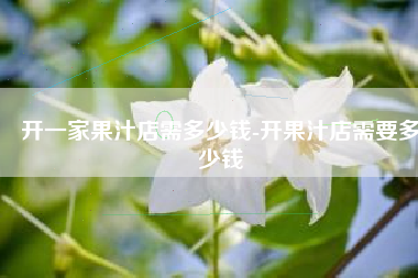 开一家果汁店需多少钱-开果汁店需要多少钱