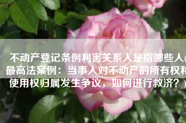 不动产登记条例利害关系人是指哪些人(最高法案例：当事人对不动产的所有权和使用权归属发生争议，如何进行救济？)