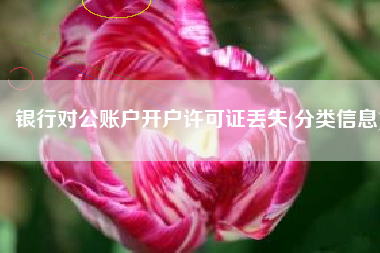 银行对公账户开户许可证丢失(分类信息)