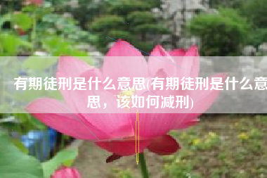 有期徒刑是什么意思(有期徒刑是什么意思，该如何减刑)