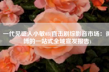 一代见证人小敏03(直击剧综影音市场：微博的一站式全域宣发报告)