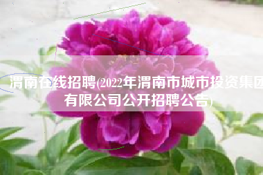 渭南在线招聘(2022年渭南市城市投资集团有限公司公开招聘公告)