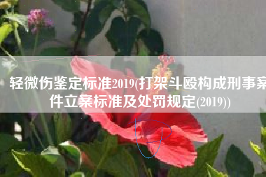 轻微伤鉴定标准2019(打架斗殴构成刑事案件立案标准及处罚规定(2019))